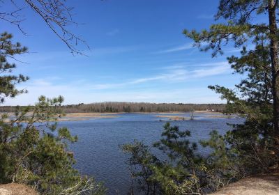 Maurice River Bluffs Preserve