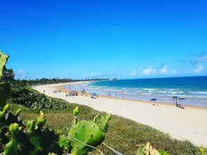 Praia de Guarajuba