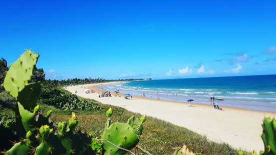 Guarajuba Beach