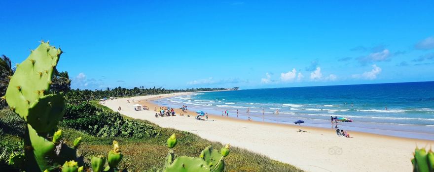 Praia de Guarajuba
