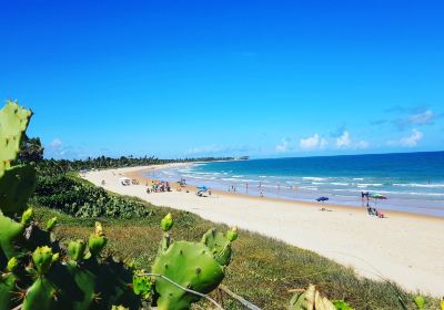 Guarajuba Beach