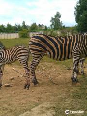 Zoo Kosice