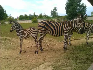 Jardín zoológico de Košice