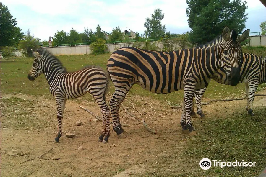 Zoo de Košice