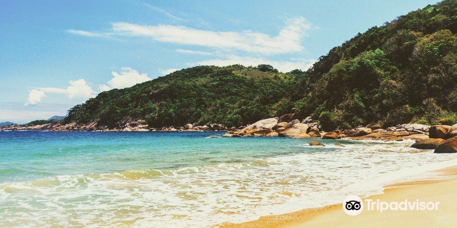 Pernambuco