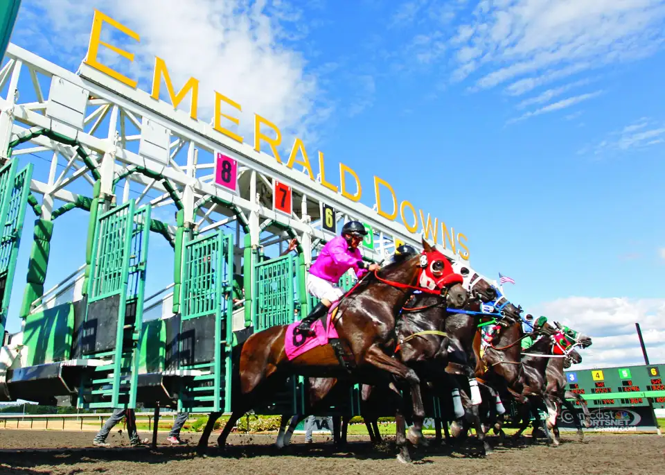 1_Emerald Downs