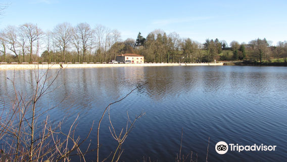 L’Étang Aujardière L’Etang Aujardiere