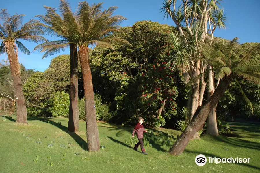 Logan Botanic Garden