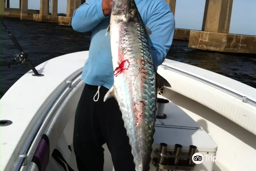 Recess Fishing Charters