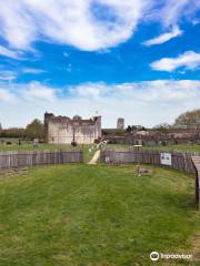 Castle of Saint Jean d'Angle Ian Stephen Abragan