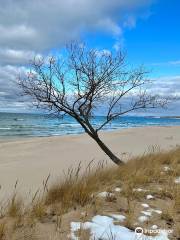 Nordhouse Dunes Wilderness Area