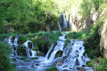 Spearfish
