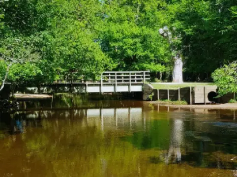 新森林國家公園