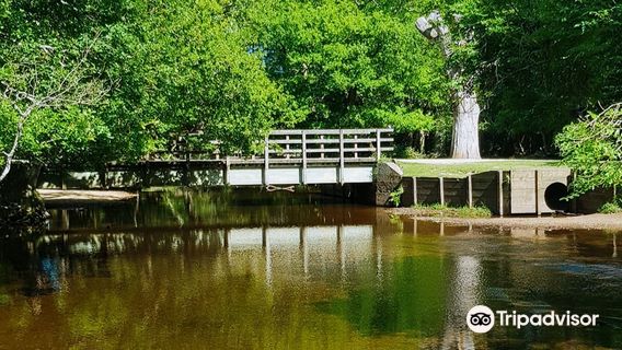New Forest National Park