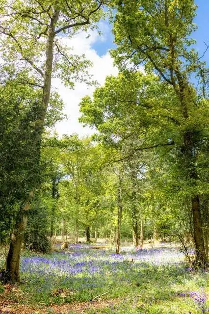 Hotels near Worcester Woods Country Park