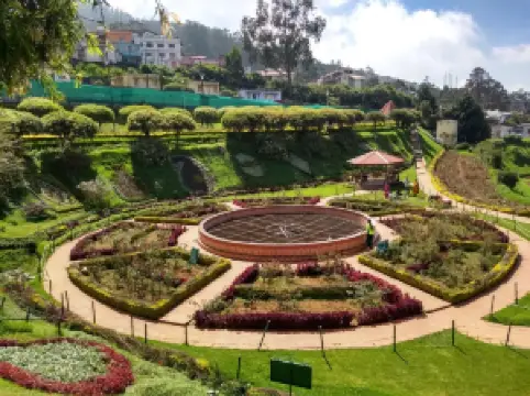 Говермент Роуз Гарден