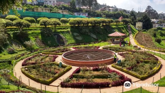 Government Rose Garden