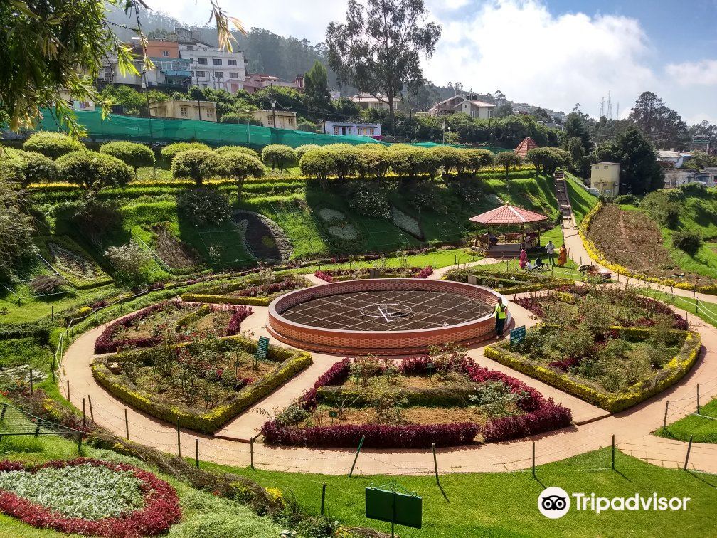 Government Rose Garden