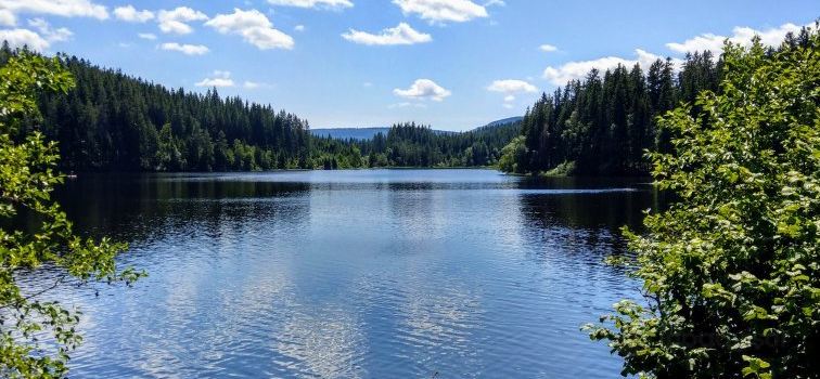 Windgfallweiher