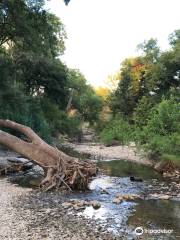 Onion Creek Greenbelt