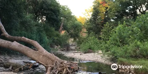 Onion Creek Greenbelt