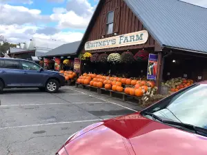 Whitney's Farm Market & Garden Center