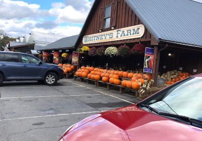 Whitney's Farm Market & Garden Center