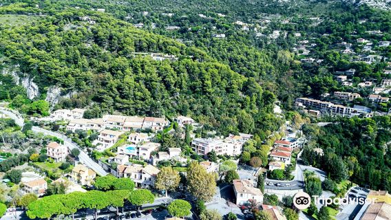 Ruines du Village du Mont Bastide
