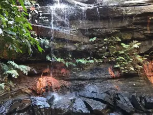 Brisbane Water National Park