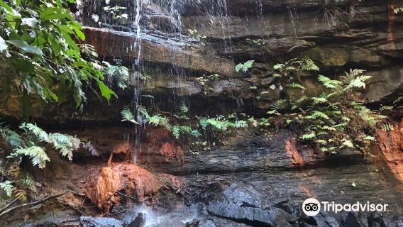 Brisbane Water National Park