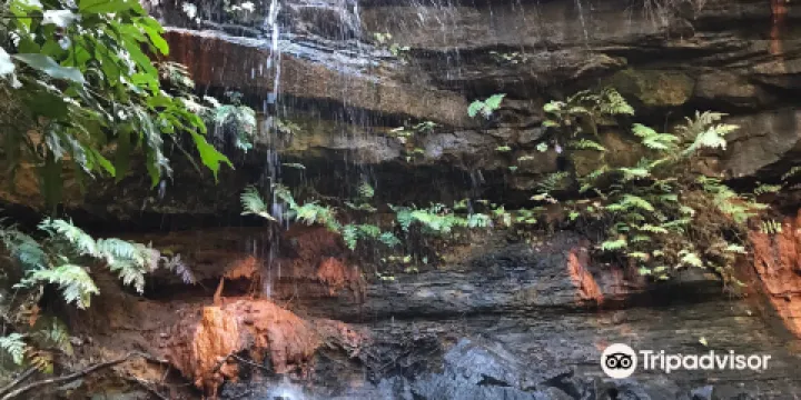 Brisbane Water National Park