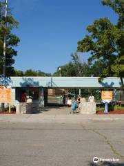 Oasis Splash Pad