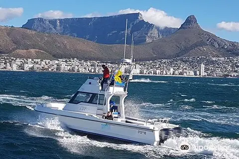 Hooked On Africa Fishing Charters, Hout Bay, Cape Town