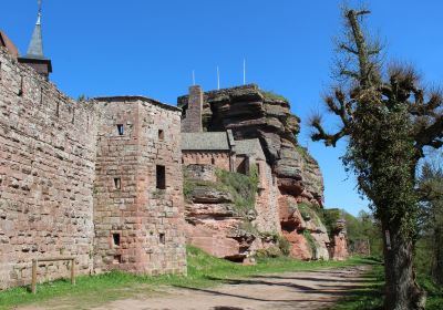 Chateau du Haut-Barr