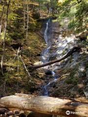 Tannery Falls