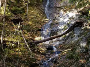 Tannery Falls