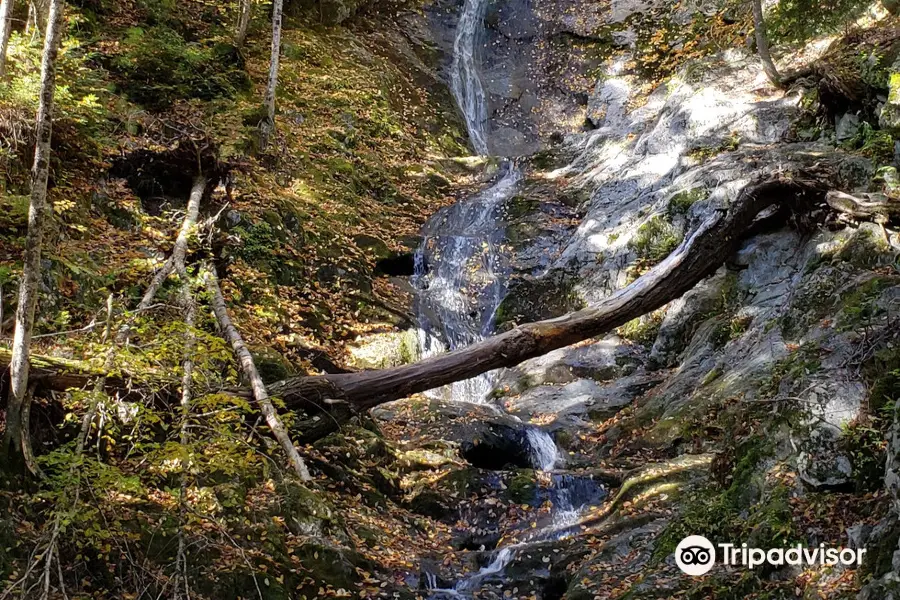 Tannery Falls