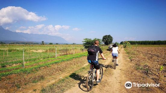 Trek With Jame - Day Cycling