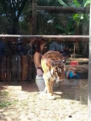 Parque Zoologico Municipal de Bauru