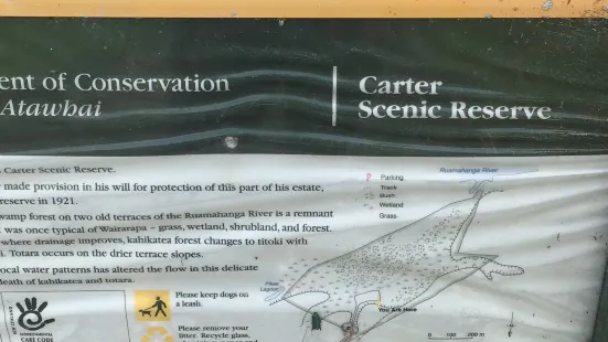 Carter Scenic Reserve