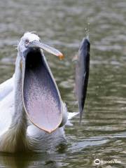 トルビエラ・ファウニスティコ公園