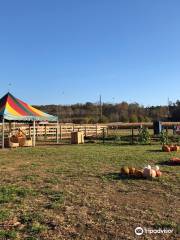 Uncle Shucks Corn Maze and Pumpkin Patch