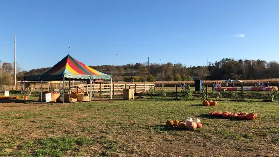 Uncle Shucks Corn Maze and Pumpkin Patch