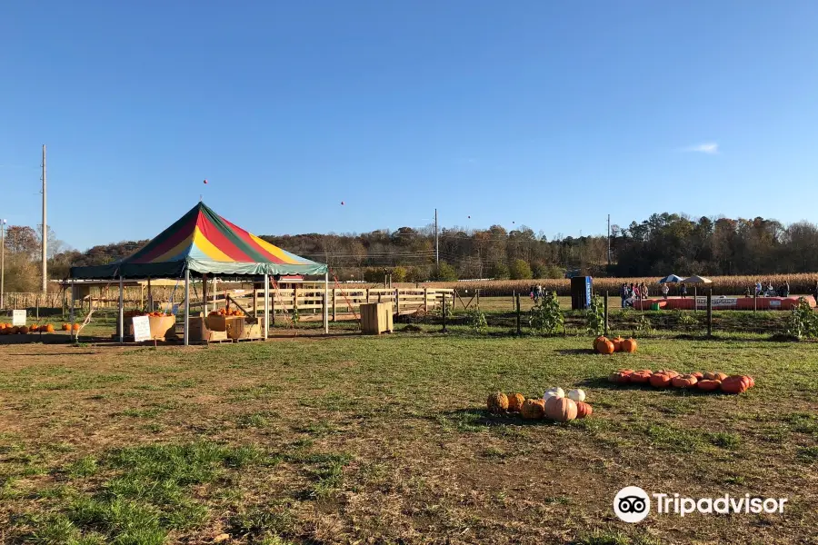 Uncle Shucks Corn Maze and Pumpkin Patch