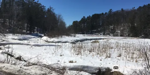 Mast Landing Sanctuary