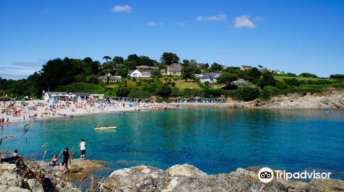 Swanpool Beach