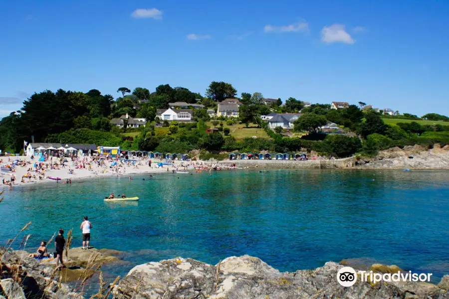 Swanpool Beach