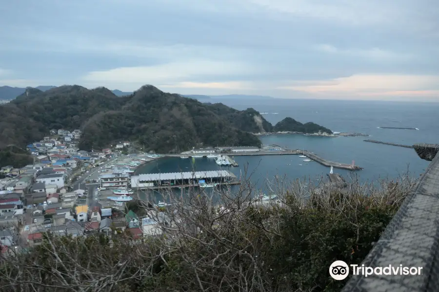 Mt. Daikoku Viewing Platform