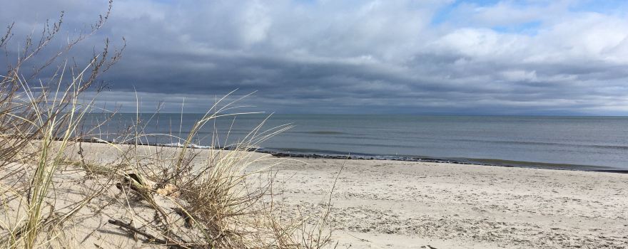 Malarhusens strand