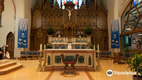 Cathedral of the Immaculate Conception at Saint John